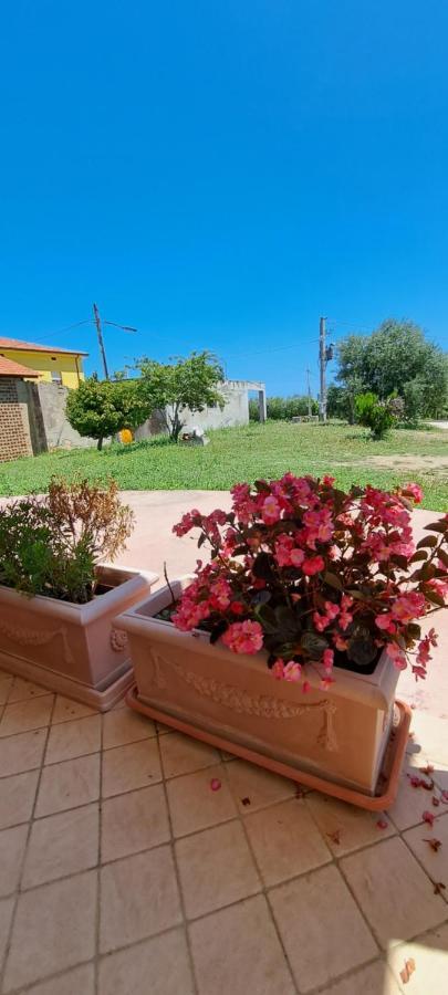 B & B Le Tre Rose Tollo 외부 사진