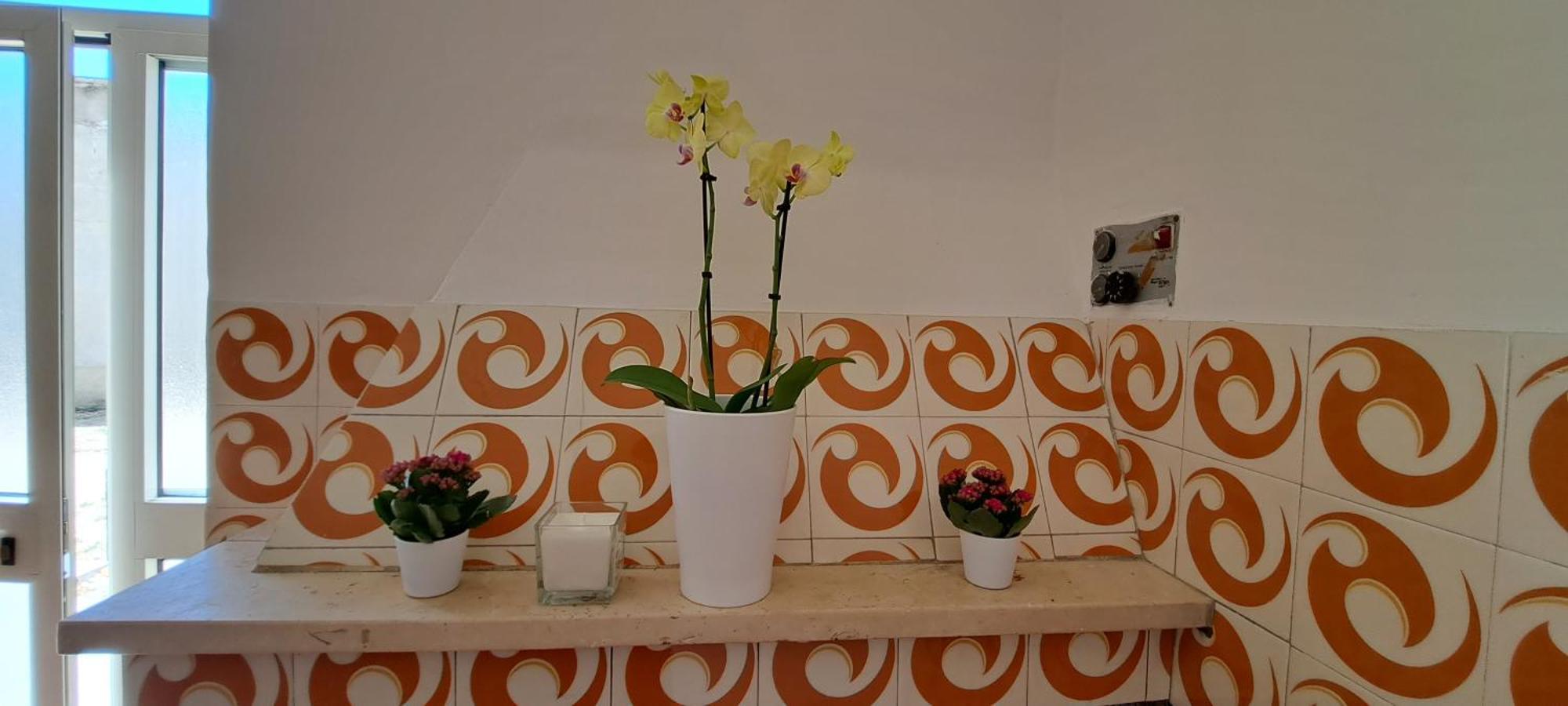 B & B Le Tre Rose Tollo 외부 사진